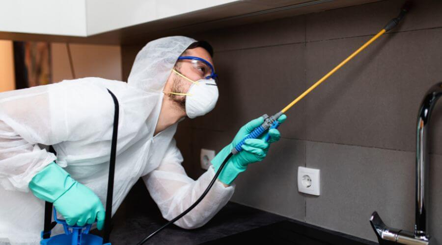 Why choose QPC North Salt Lake for quarterly pest control in North Salt Lake